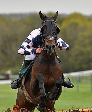 Towcester Jump Racing
