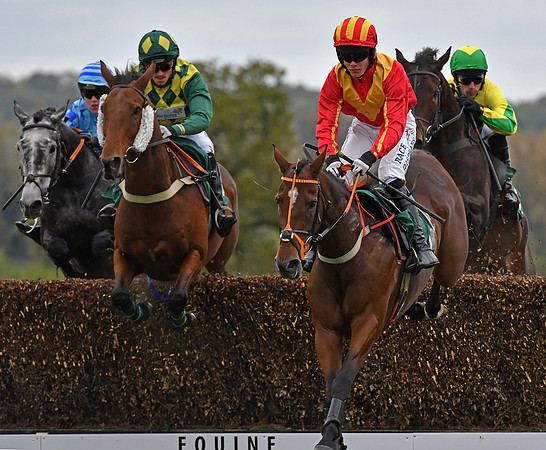M Goldsteinon The Society Man at Towcester