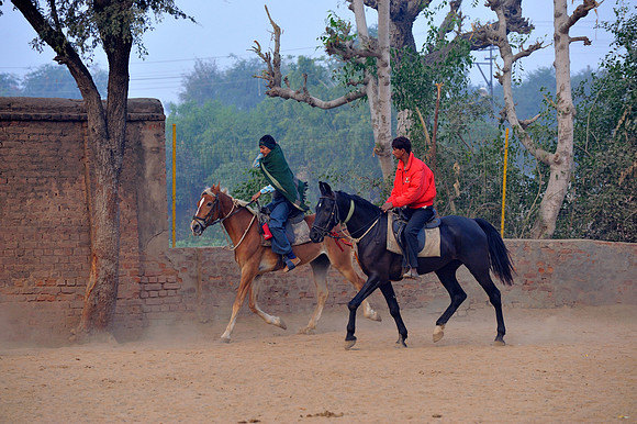 81 Km Endurance Event Stables