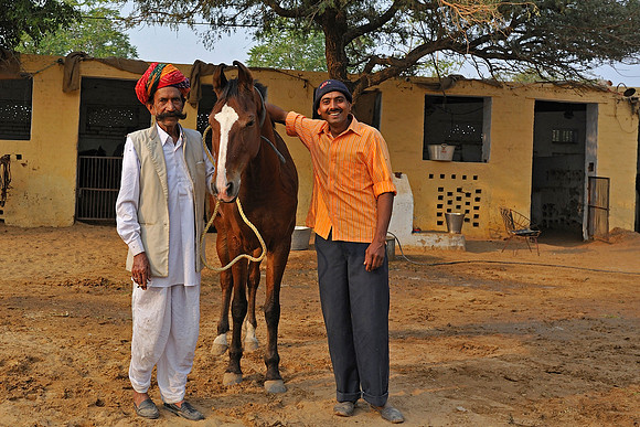81 Km Endurance Event Stables