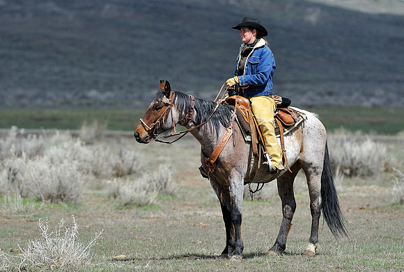 horse-ranch-sombrero-051