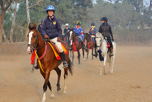 81 Km Endurance Event Stables