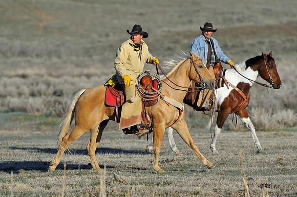 horse-ranch-sombrero-006