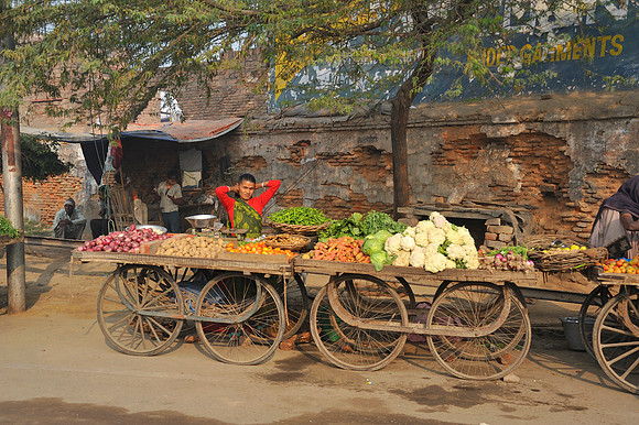 Mobile fruit stall