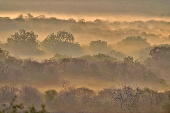 Ranthambore.091206.0188