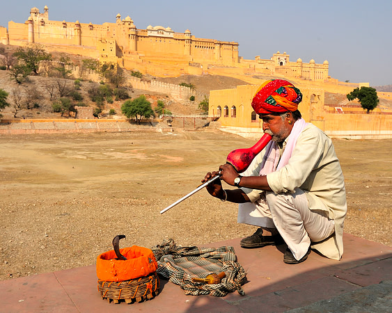 Snake Charmer at Amber Fort