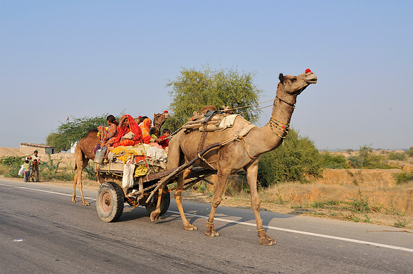 On the road to Jaipur