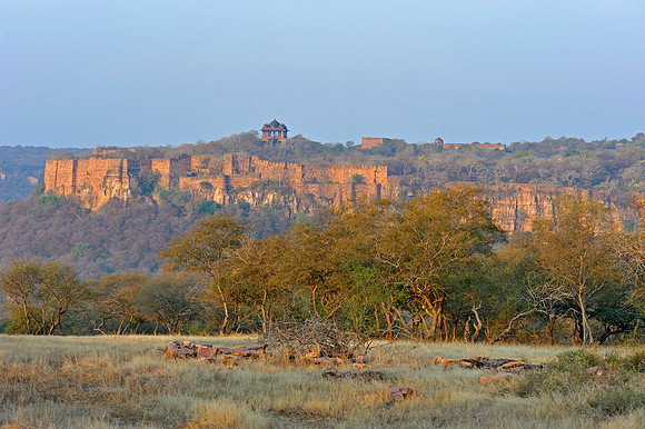 A view in Ranthambore Tiger Reserve