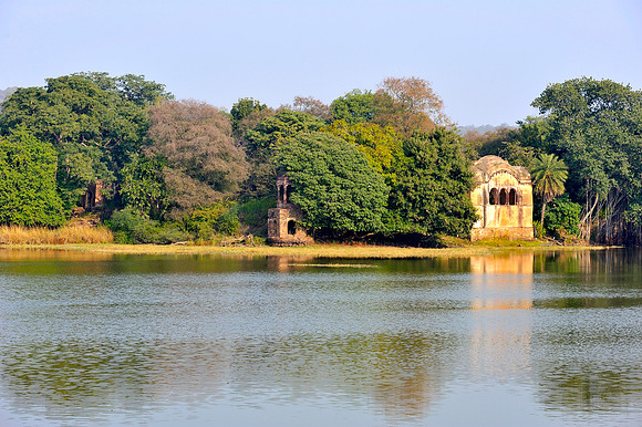 A view in Ranthambore Tiger Reserve