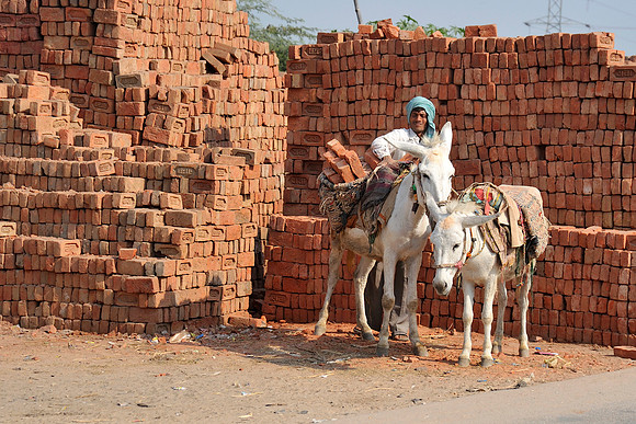 Donkey with bricks
