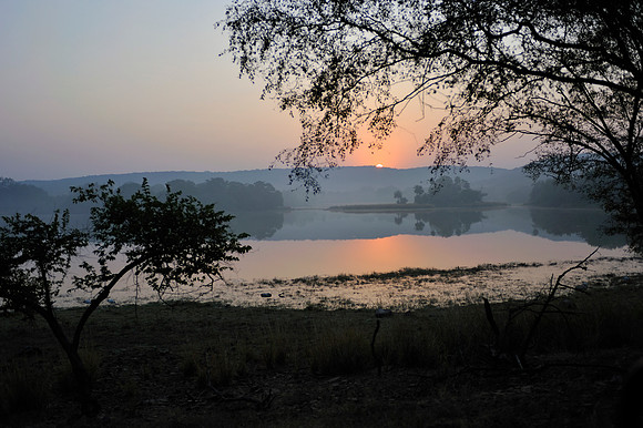 A view in Ranthambore Tiger Reserve