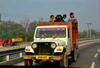 Cow transporter