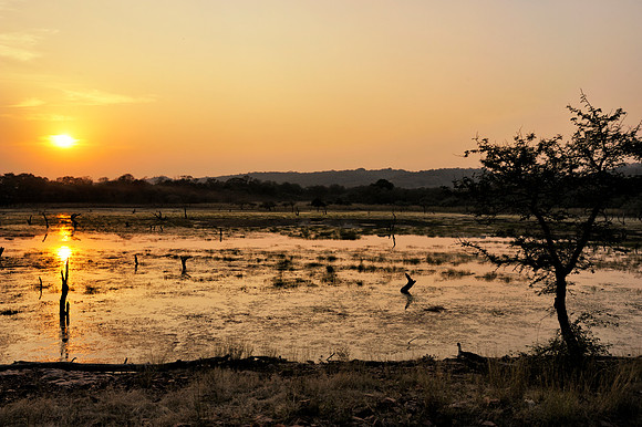 Ranthambore.091205.0124