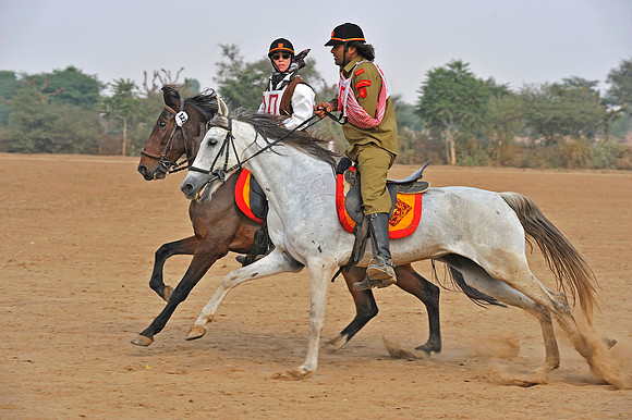 HorseDundlod.091212.2794