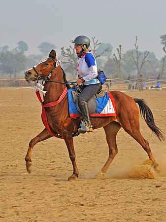 HorseDundlod.091212.2317