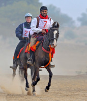HorseDundlod.091212.1612