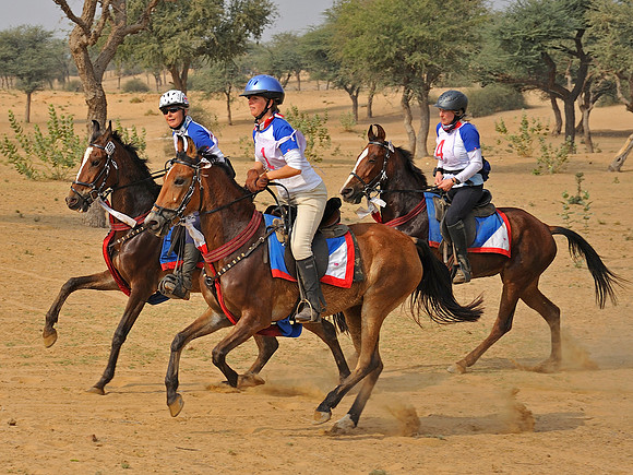 HorseDundlod.091212.3011