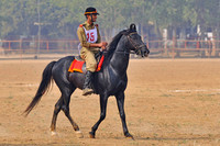 HorseDundlod.091210.0425
