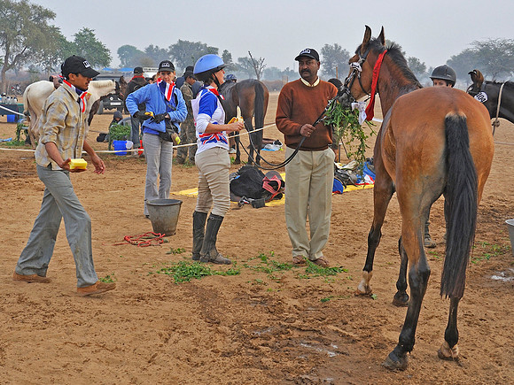 HorseDundlod.091212.2046