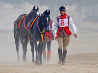 HorseDundlod.091212.1579