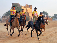 HorseDundlod.091212.1417