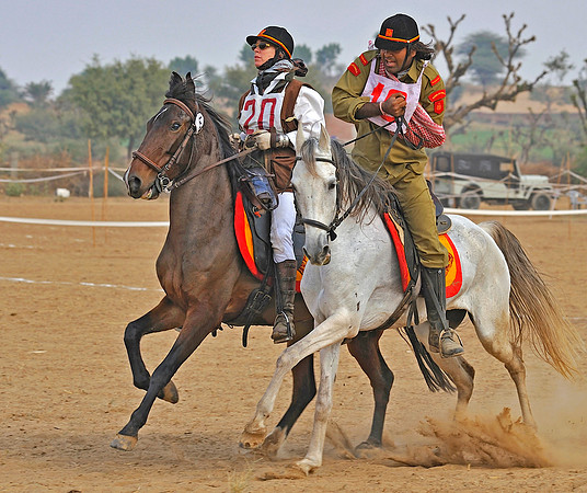 HorseDundlod.091212.2787