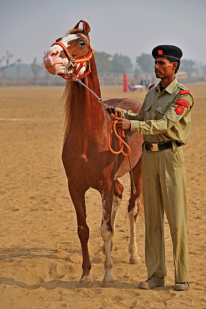 HorseDundlod.091210.0200