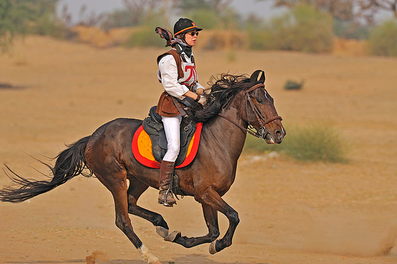 HorseDundlod.091212.2515