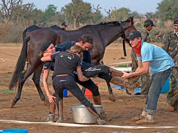 HorseDundlod.091212.3729