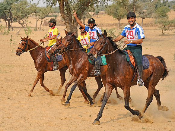 HorseDundlod.091212.2847