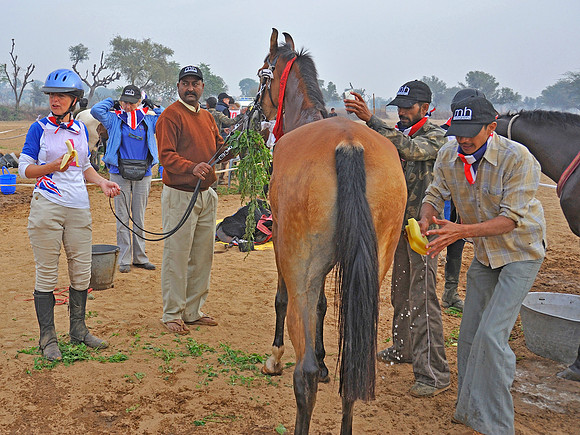 HorseDundlod.091212.2076