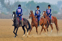 HorseDundlod.091210.0160