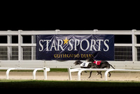 Gel Sapphire (3) and Office Flirt (1) pass the Star Sports banner.