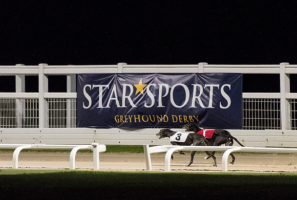 Gel Sapphire (3) and Office Flirt (1) pass the Star Sports banner.