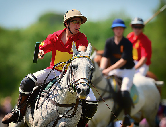 Polo at Marriners 2013