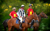 Umpire, Air Commodore Tim Brown