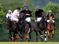 Polo at Marriners
