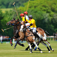 Under 25 British Polo stars at Marriners
