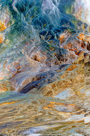 Thermophiles in the Hot Spring Terraces,