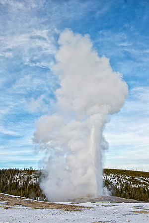 Old Faithful erupts