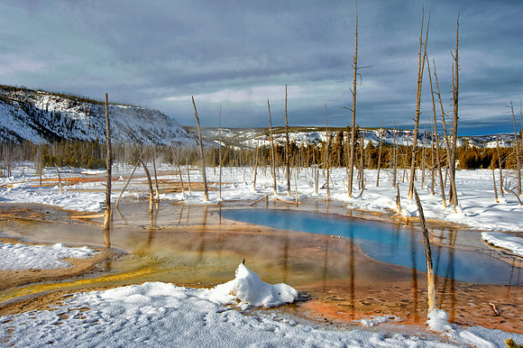 Hot Spring at Norris Geyser Basin, Yellowstone National Park,