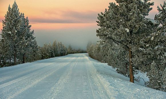 Grand Loop Road