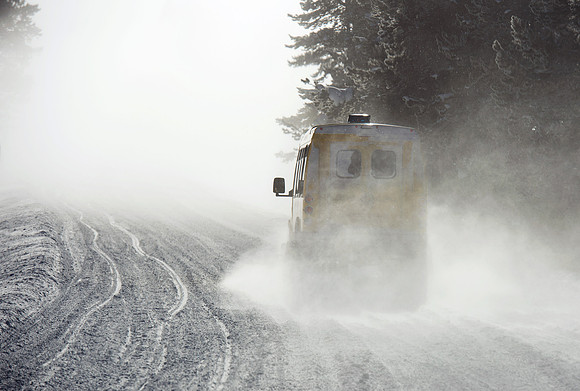 Into the blizzard