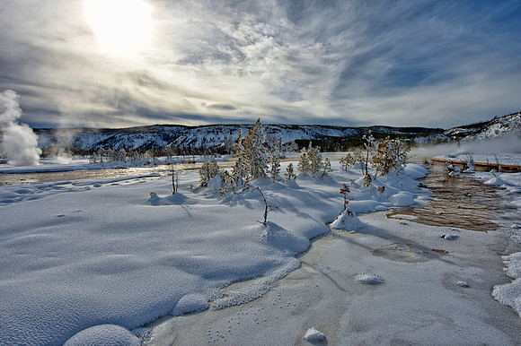 Steam rising at Norris Geyser Basin, Yellowstone National Park,