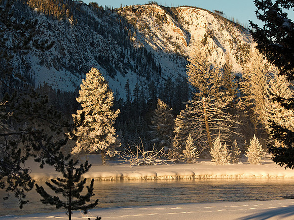 Sunrise on the Grand Loop Road