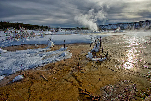 Bacteria Mat, Norris Geyser Basin, Yellowstone National Park,