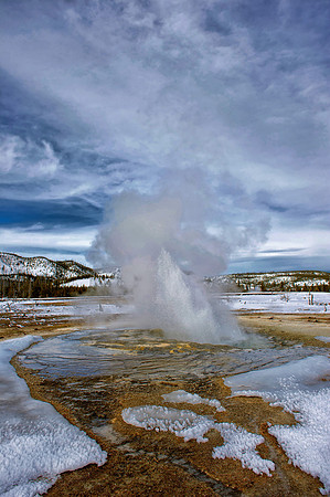 Jewell Geyser, Biscuit Basin, Yellowstone National Park,