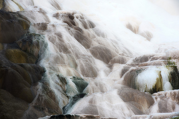 Thermophiles in the Hot Spring Terraces,