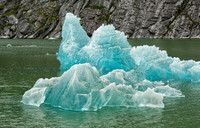Iceberg in Endecott Arm