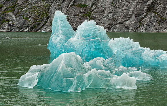 Iceberg in Endecott Arm